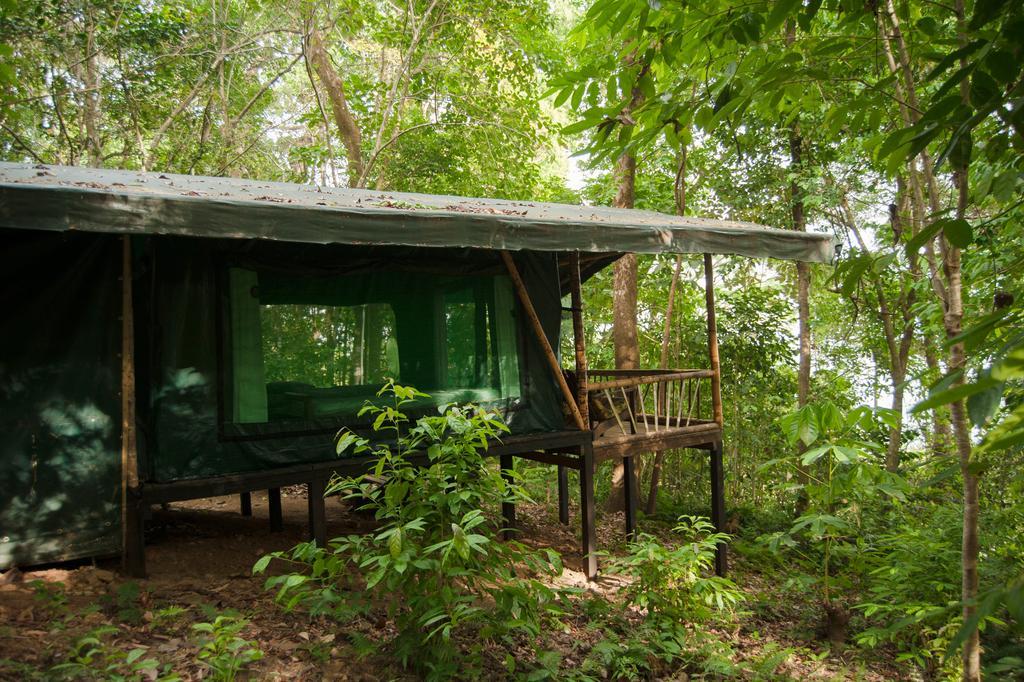 La Leona Eco Lodge Carate Esterno foto