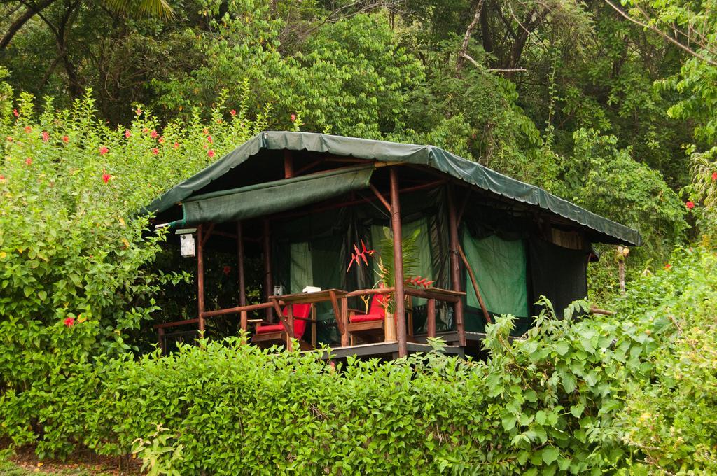 La Leona Eco Lodge Carate Esterno foto