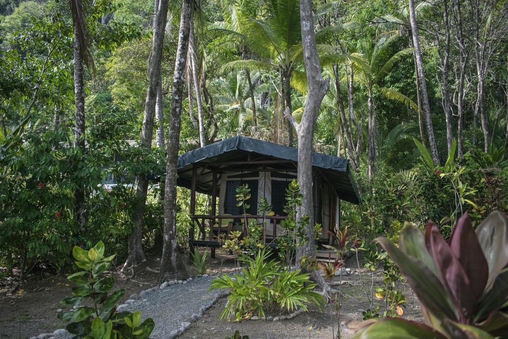 La Leona Eco Lodge Carate Esterno foto