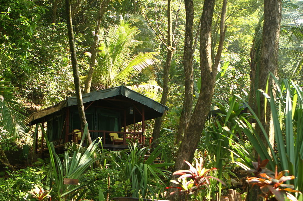 La Leona Eco Lodge Carate Esterno foto