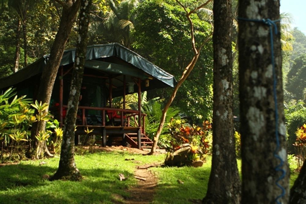 La Leona Eco Lodge Carate Esterno foto